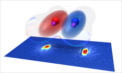 The Bose-Einstein condensates of Erbium and Dysprosium coexist and interact with each other.
