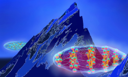 A cigar-shaped gas of magnetic atoms can support a roton mode: a modulation in the atom spatial organization at a given wavelength, forming a saddle on the energy mountain ridge of its elementary excitations. 