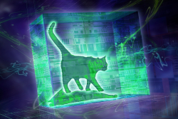 Schroedinger's Cat